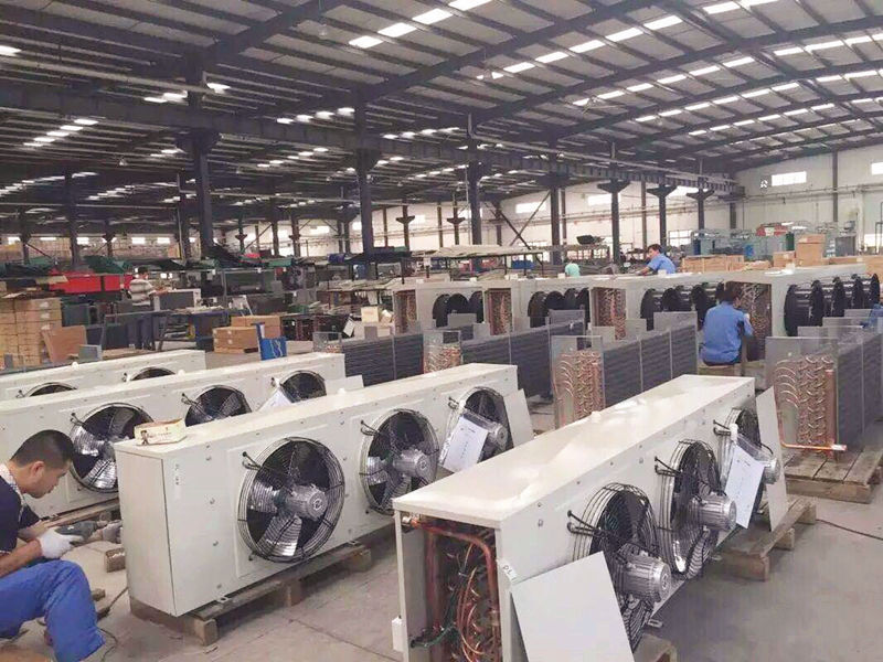 乐动（中国）
