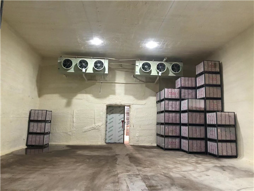 乐动网页版登录入口苹果冷库安装案例