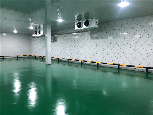 乐动网页版登录入口蔬菜保鲜库